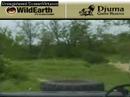 Sunrise drive 112807-1