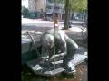 videos de Recep keskin