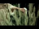Love Story - Taylor Swift Music Video