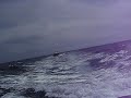 Capitola rescue