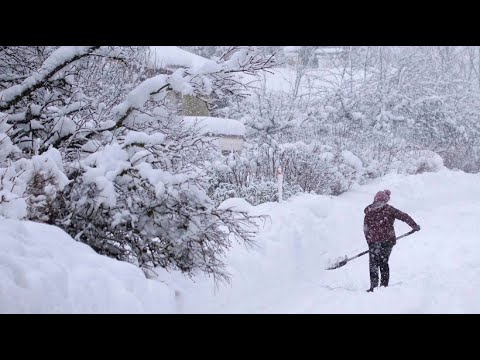 Bayern versinkt im Schnee - weitere Schneeflle sin ...