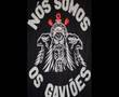 Gaviões lhp