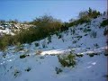 trineo mortal en arnedo