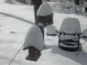 the Birds on the Feeder in the Snow