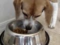 Feeding time for Maddy