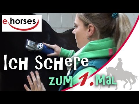 Ich schere zum 1. Mal - sponsored by ehorses & agradi.de