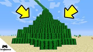 MİNECRAFT KAKTÜS MERDİVENİ ŞANS BLOKLARI
