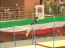 2007 Civittavechia Meet Vericel UB