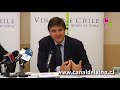 Preguntas y respuestas conferencia de prensa Vinos de Chile