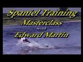 Sporting Scene - Spaniel Training Master Class P1 .