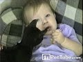 Cat Steals from Baby: PetTube.com