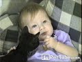 Cat Steals from Baby: PetTube.com Cat Steals from Baby: PetTube.com