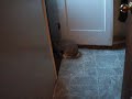 Yofi wants OUT
