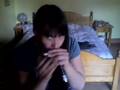 Summertime - Played on a Beta-Harp in D by Ben Bouman