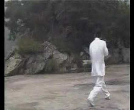 形意Bagua - 形意拳、八卦掌演练西安江新城.