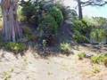 0 Carmel Highlands, Carmel, CA 93923