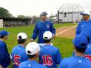 Los Altos 16, Northview 3