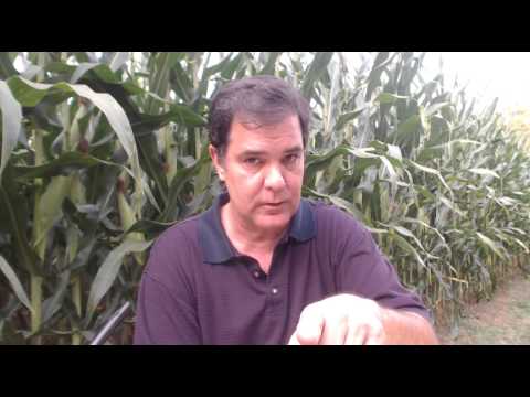 Gaza War, US and EU Sanctions Against Russia, Global Ebola Outbreak and More!