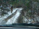 More Yukon Trails