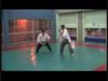 Nagewaza of Aiki Kenpo Ju-Jutsu