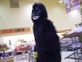 Gorilla vs. Banana Gorilla vs. Banana