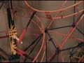 knex serpant spiral roller coaster