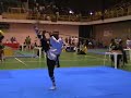 International Kung Fu Championship Tournament