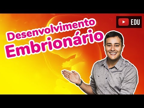 embriologia - INSCREVA-SE: http://bit.ly/ZQarcx ☆ Mais vídeo aulas? ACESSE: http://www.biologiatotal.com.br ☆ FACEBOOK: http://www.facebook.com/biologiajubilut ☆ TWITTER:...