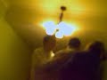 アラン・ホワイト動画