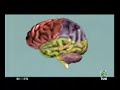 redes ¿por qué nos engaña el cerebro? 2de2