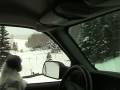 videos de molly butler cabin.mpg