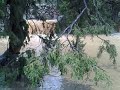 بعدسة المعذور_ رافع العمري بعدسة المعذور_ رافع العمري