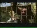 video de animales chistosos /// www tudisplay net ///