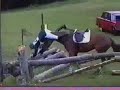 video de animales chistosos /// www tudisplay net ///