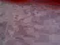 pelea Mario vrs Irra,