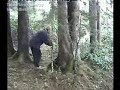 h?d?rnebi yaylas?-bal?kl? g�l TRABZON