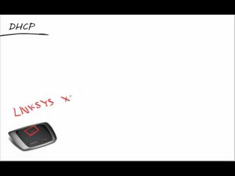 how to obtain dhcp address