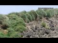 20090721 台北市陽明山小油坑 1