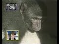 ???????????????