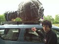 ARCA loads in their surprise... but what is it?