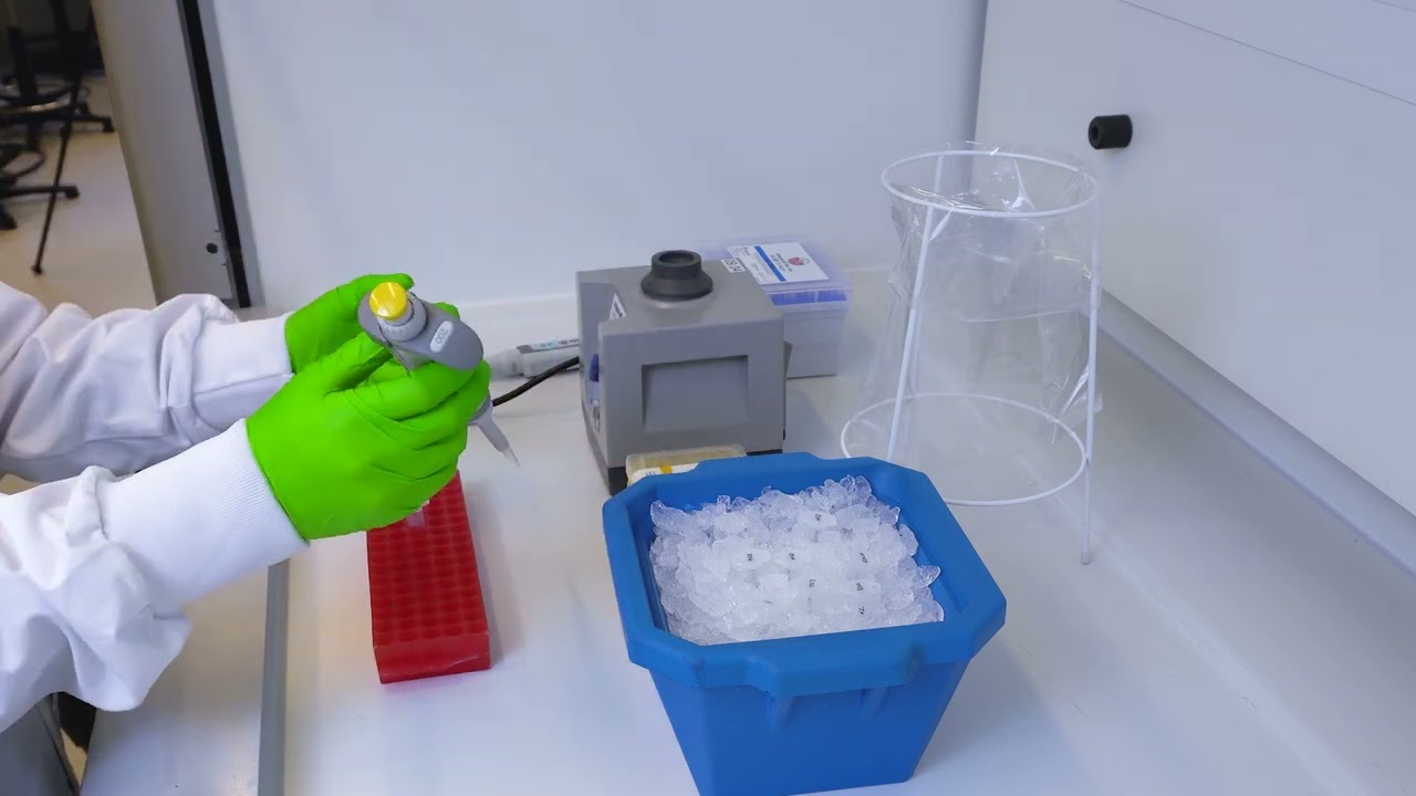 qPCR - interactive