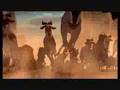 The Stampede