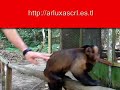 Ecotourism