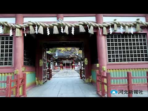 動画