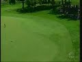 Increíble jugada de golf