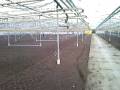 videos de crossen in de tuin