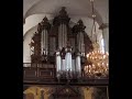 magdalena rainko plays organ recital in christ the king metropolitan cathedral in city of katowice, poland.
