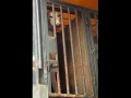 sos galgos