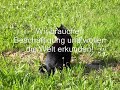 An alle Tierfreunde