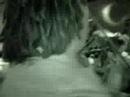 Alfredo De La Fe Dives into the Crowd Lulaworld